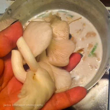 Thai Coconut Milk Soup with Chicken